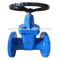 Flanged end 8 inch gate valve with cast iron body